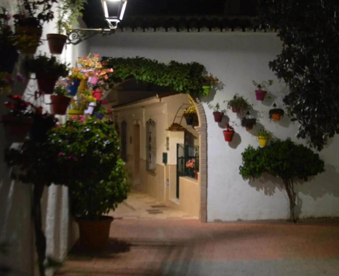 Terra By La Pita - Central Premium Apartment With Parking Estepona 0*,  Spain